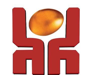 河南鼎越企業(yè)管理咨詢(xún) 專(zhuān)業(yè)商務(wù)咨詢(xún)，助力企業(yè)卓越發(fā)展