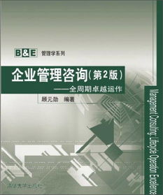 《企業(yè)管理咨詢 全周期卓越運(yùn)作》（第2版）——驅(qū)動(dòng)商業(yè)成功的專業(yè)引擎